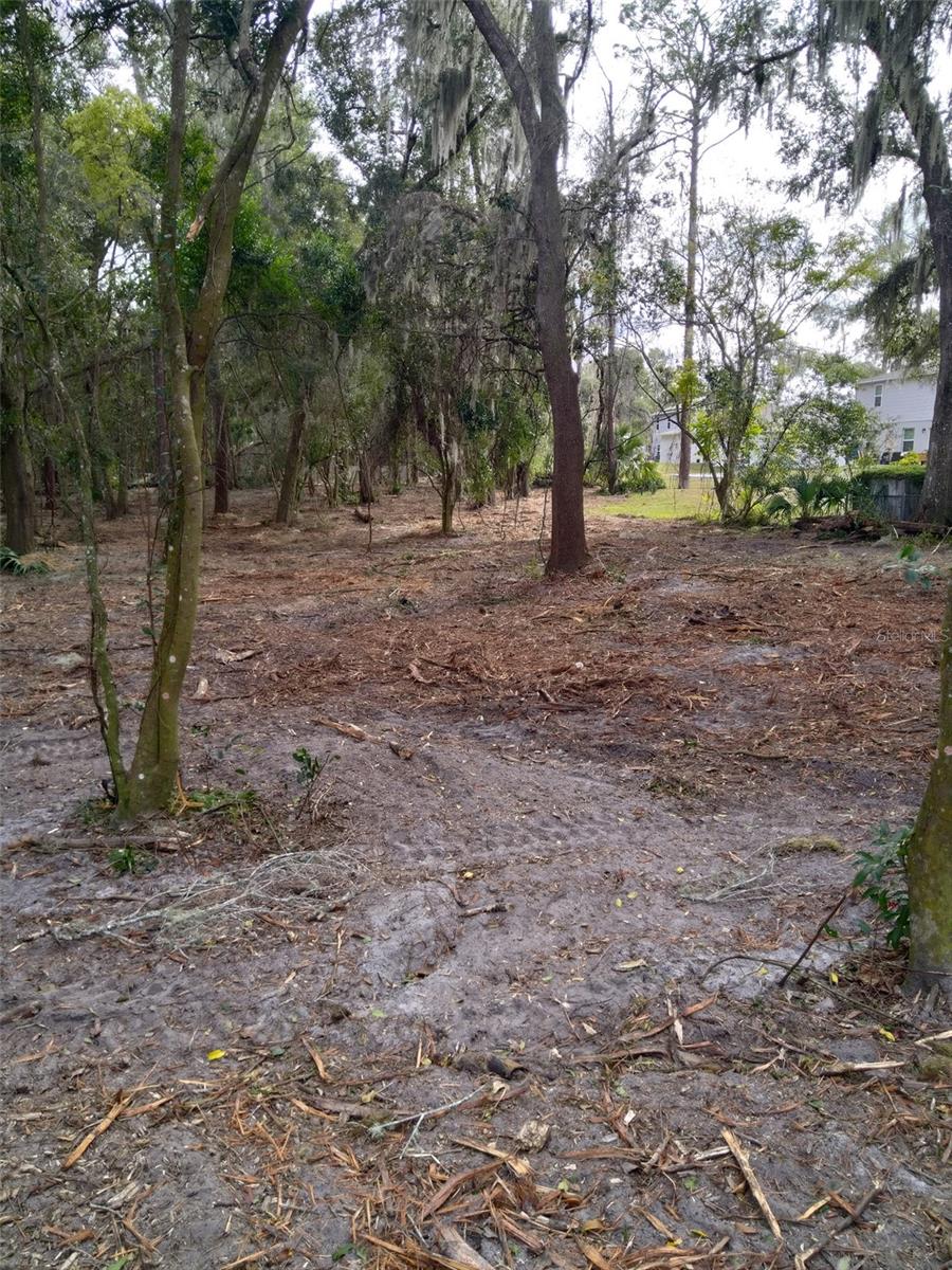 2ND ST, DELAND, FL — photo 10