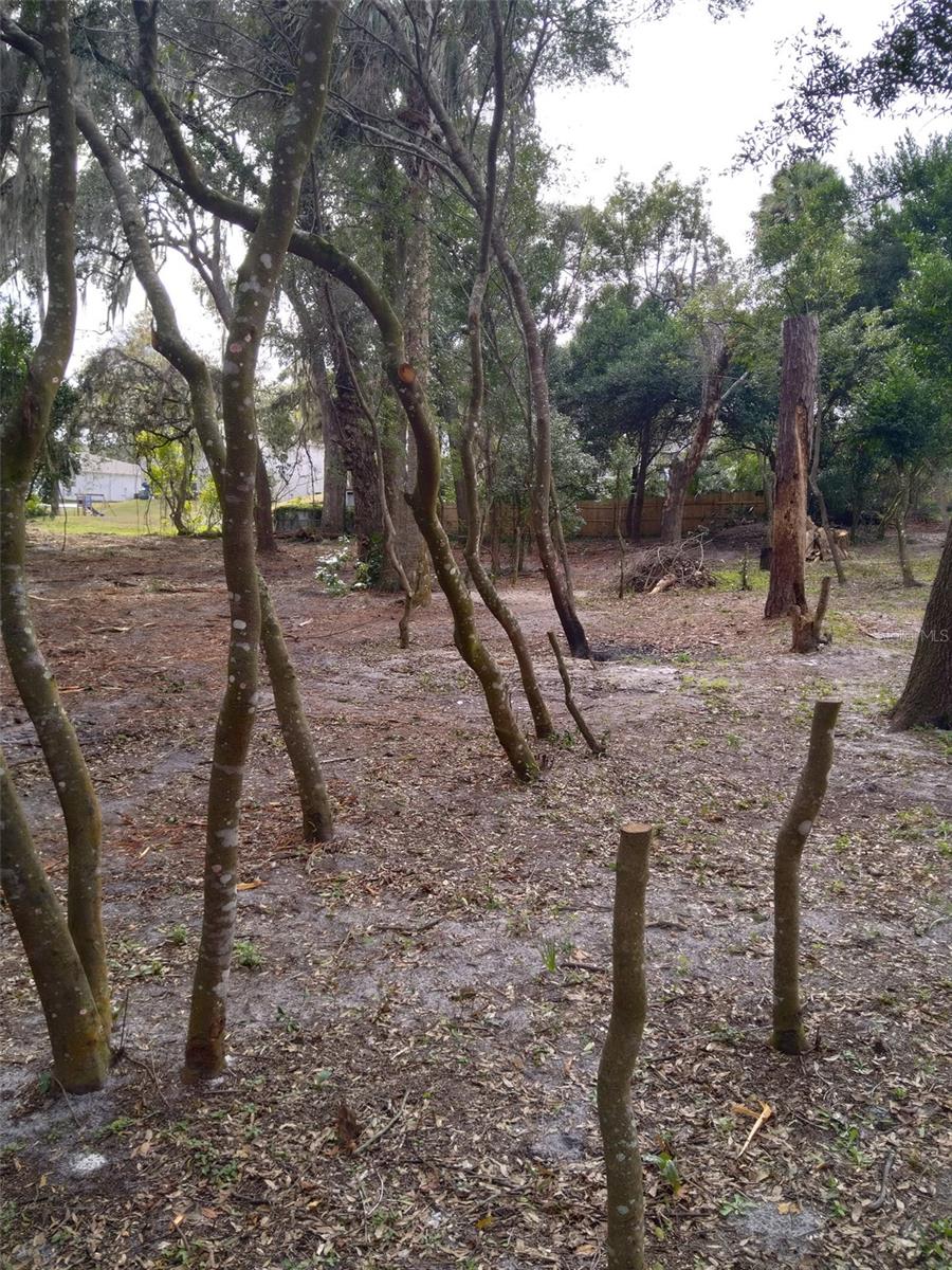 2ND ST, DELAND, FL — photo 11