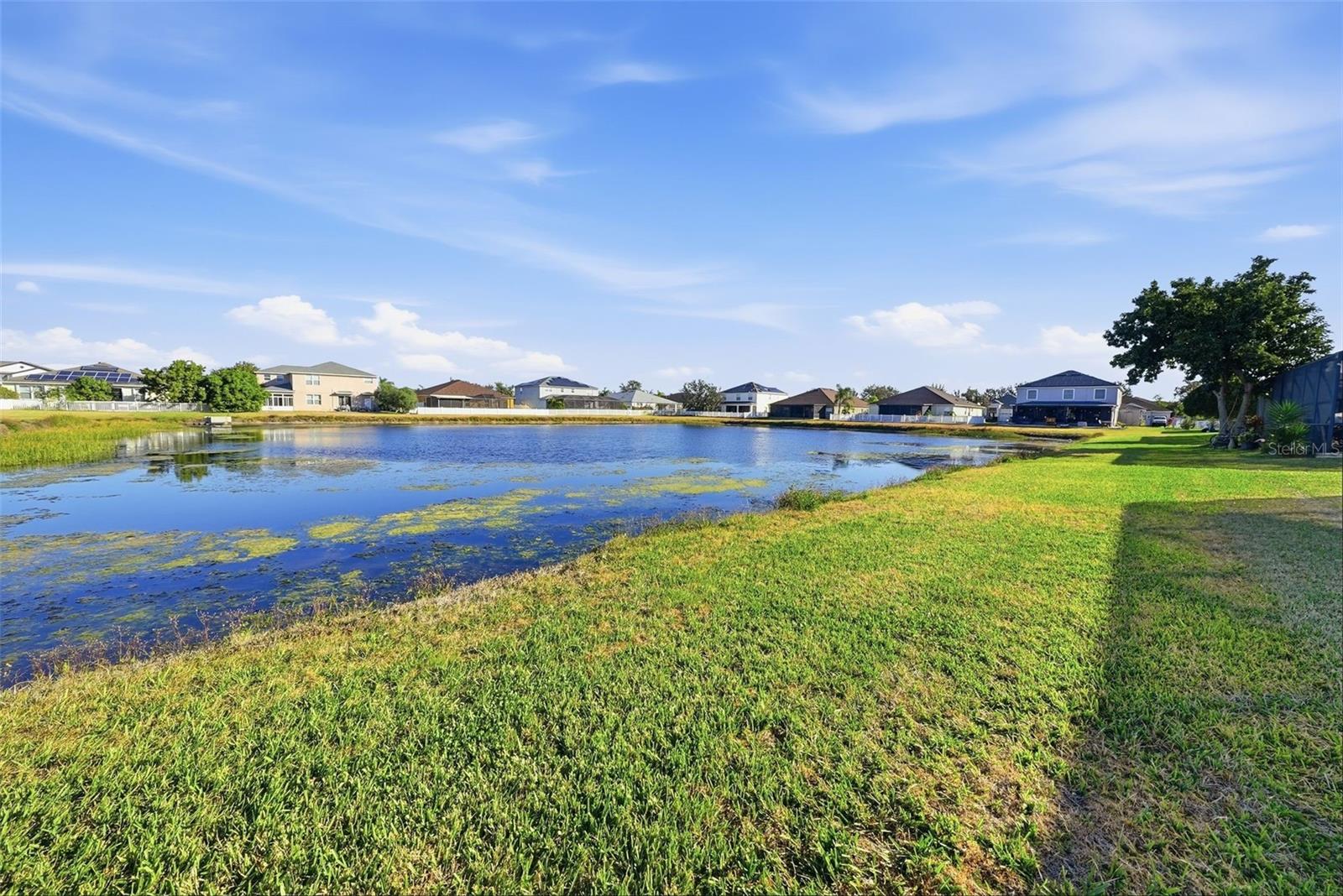 13230 GRAHAM YARDEN DR, RIVERVIEW, FL — photo 39