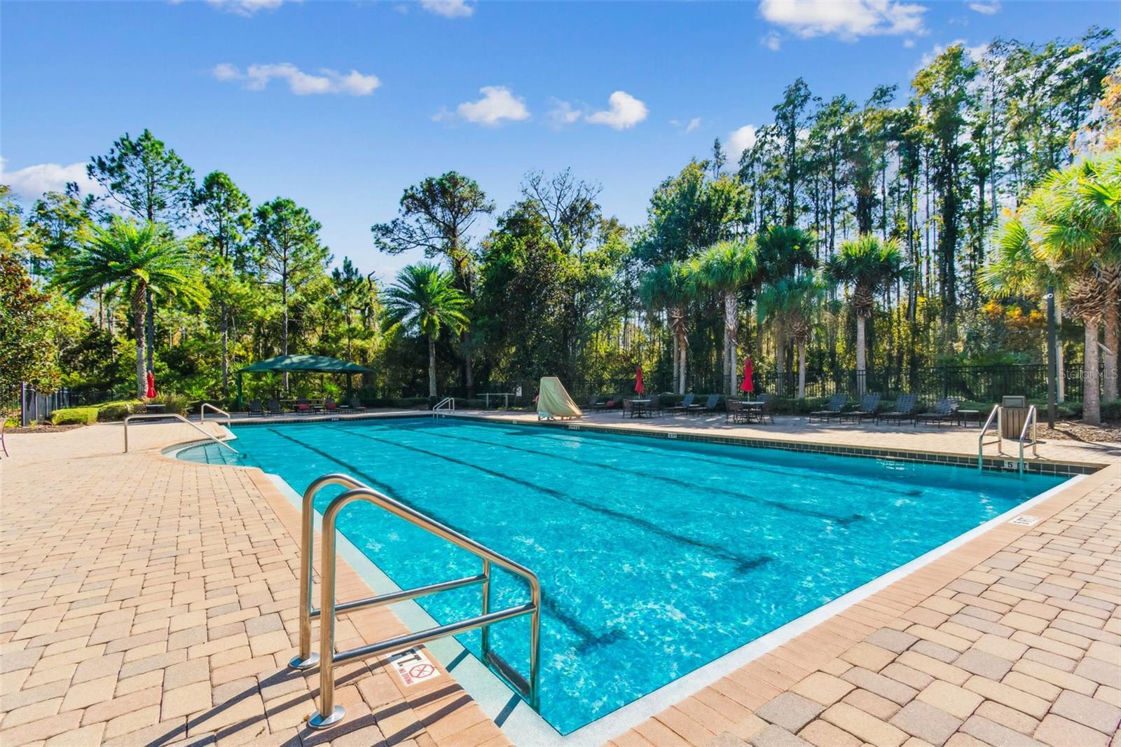19714 LONESOME PINE DR, LAND O LAKES, FL — photo 41