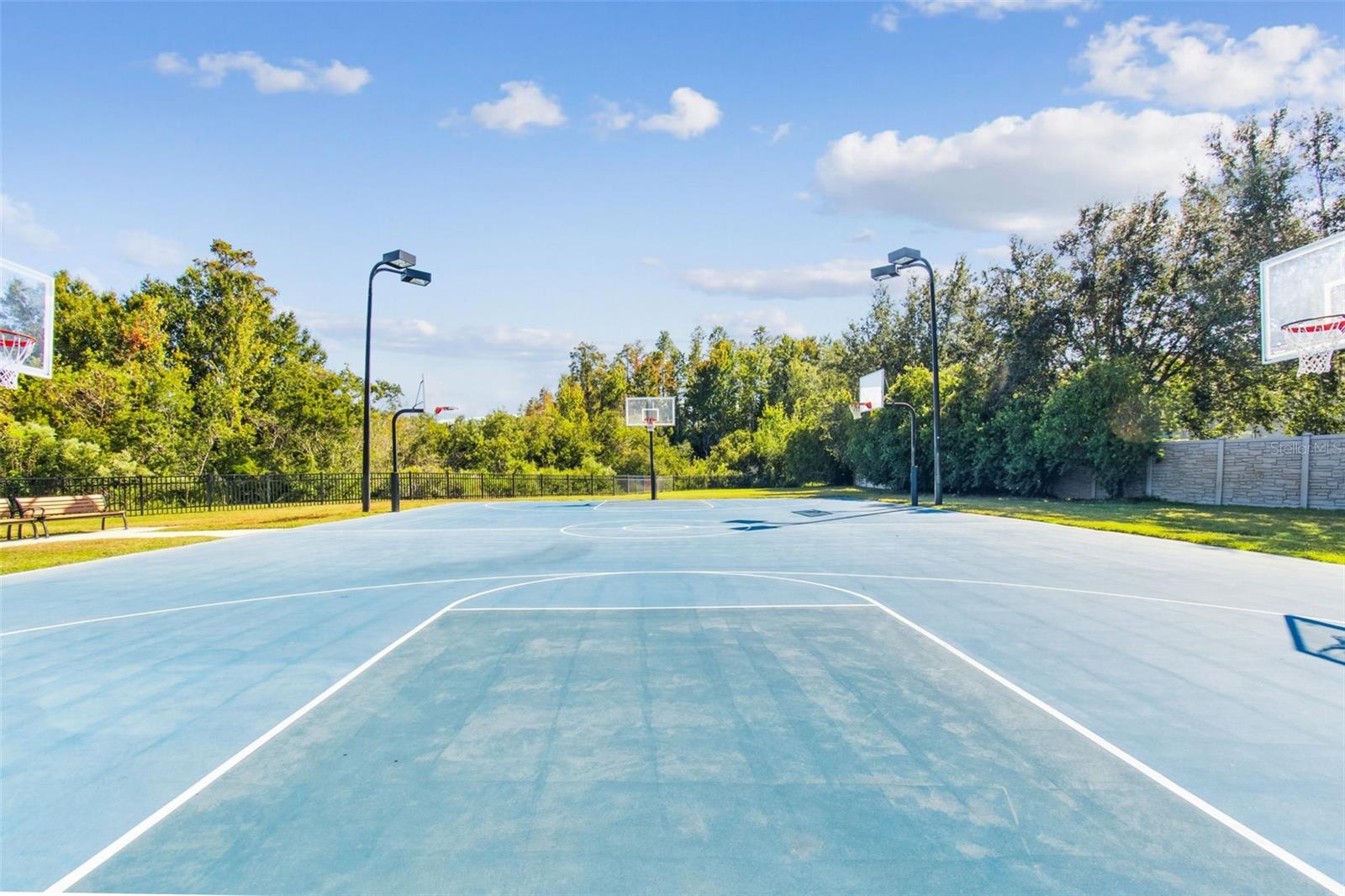 19714 LONESOME PINE DR, LAND O LAKES, FL — photo 50