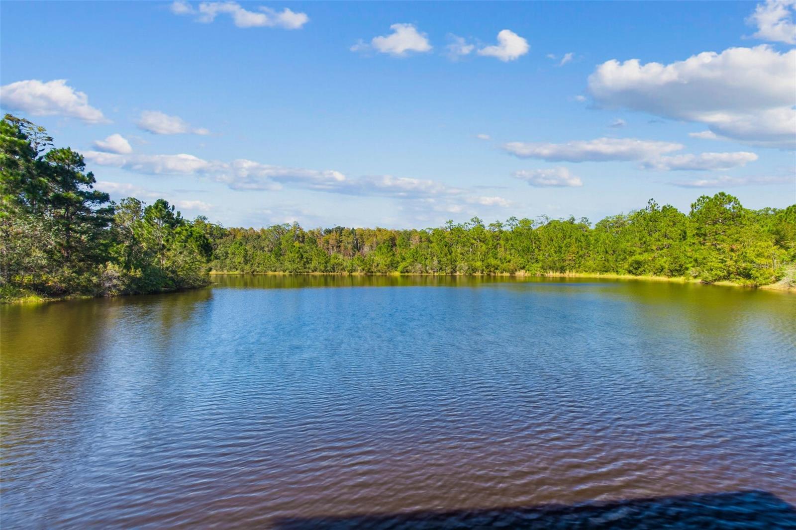 19714 LONESOME PINE DR, LAND O LAKES, FL — photo 55
