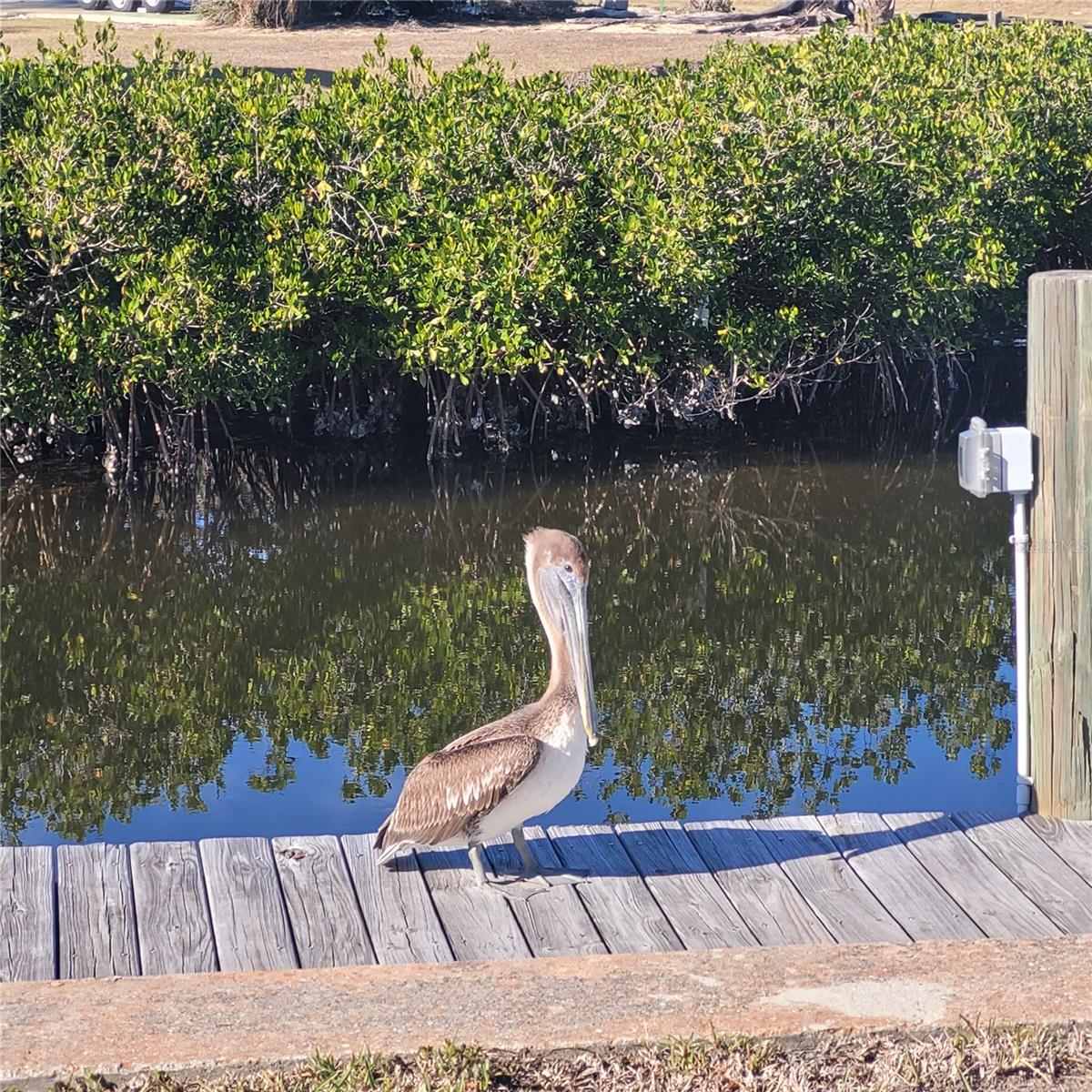 4410 WARREN AVE #108, PORT CHARLOTTE, FL — photo 31