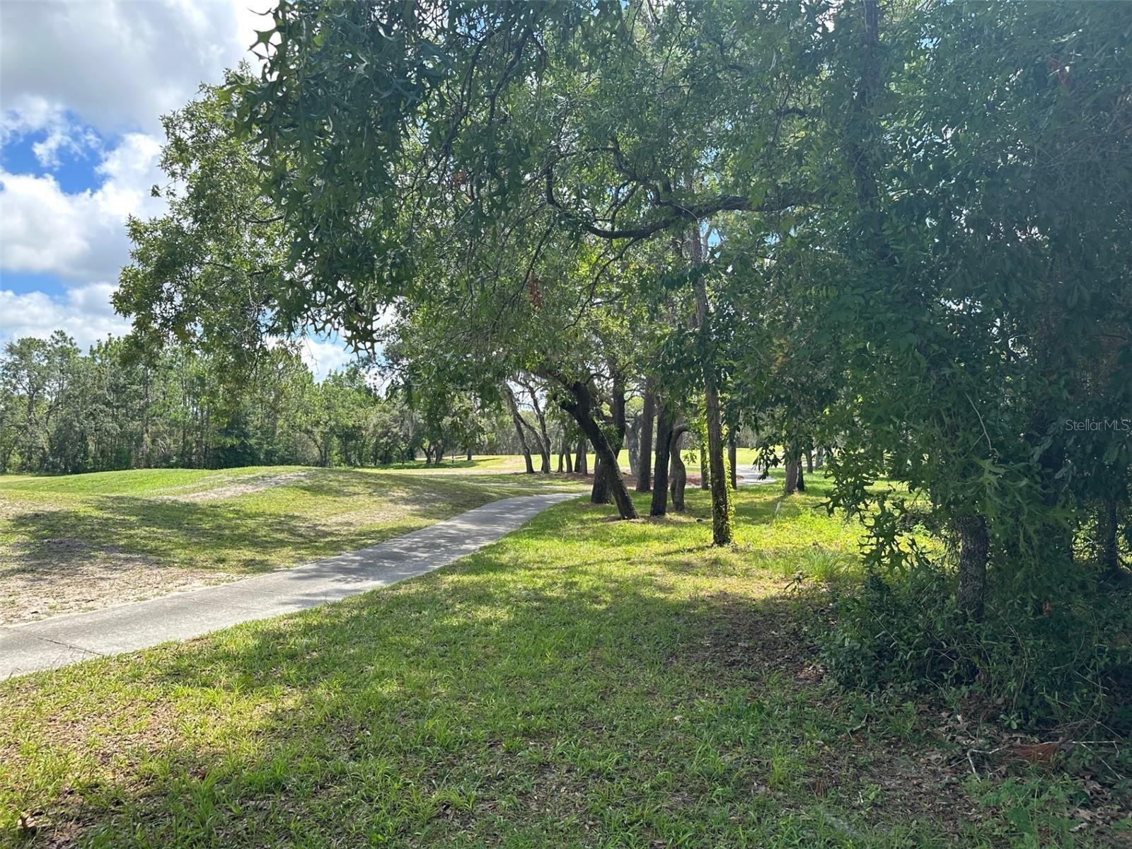 13 DEERWOOD DR, HOMOSASSA, FL — photo 2
