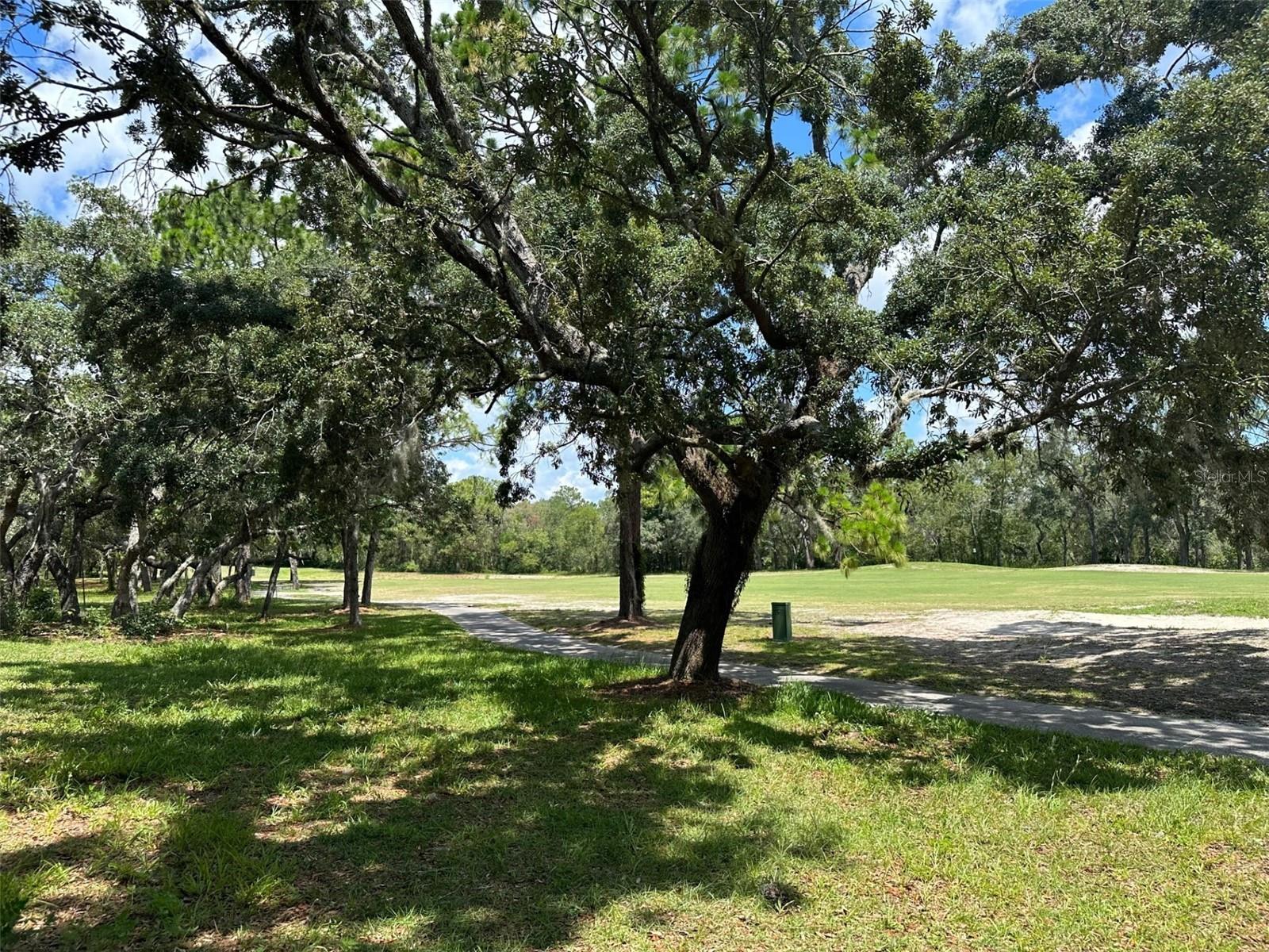 13 DEERWOOD DR, HOMOSASSA, FL — photo 3
