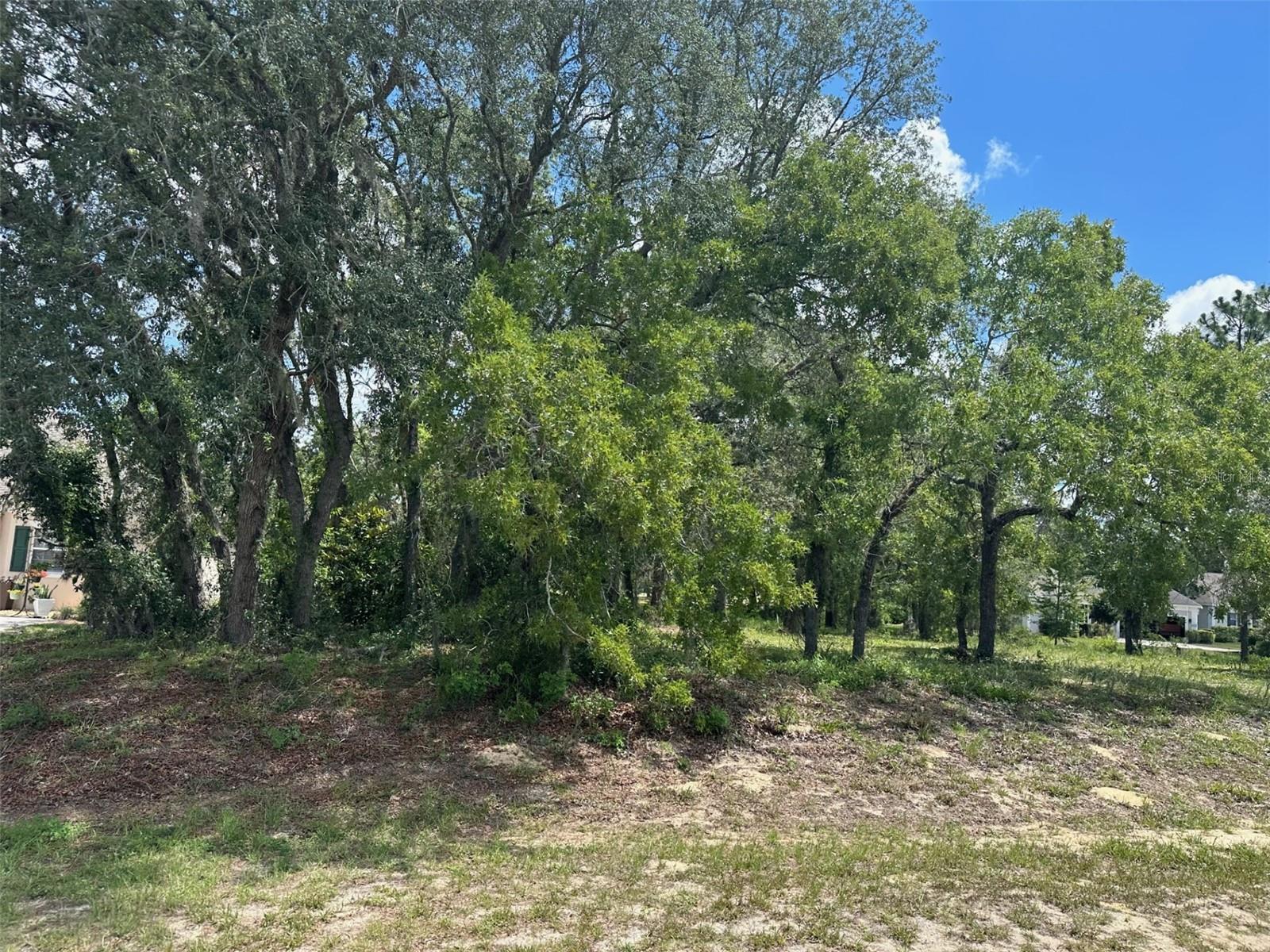 13 DEERWOOD DR, HOMOSASSA, FL — photo 5