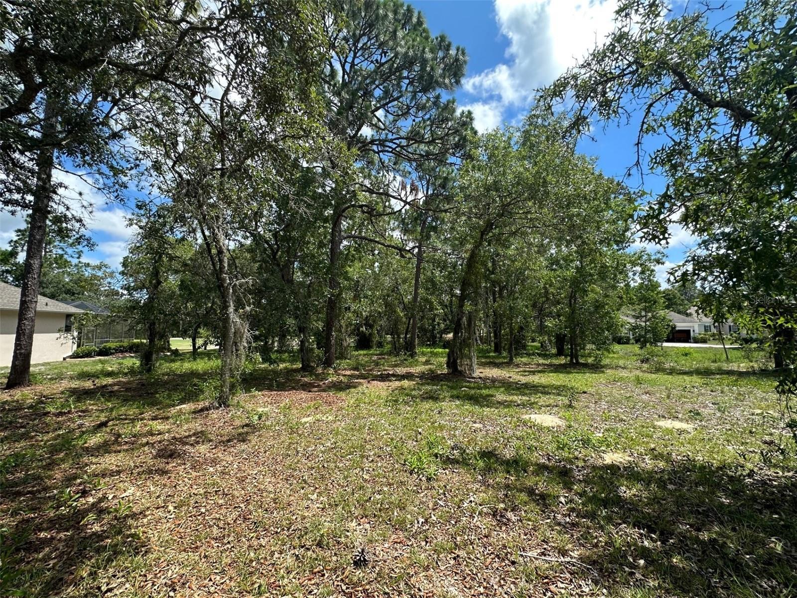 13 DEERWOOD DR, HOMOSASSA, FL — photo 6