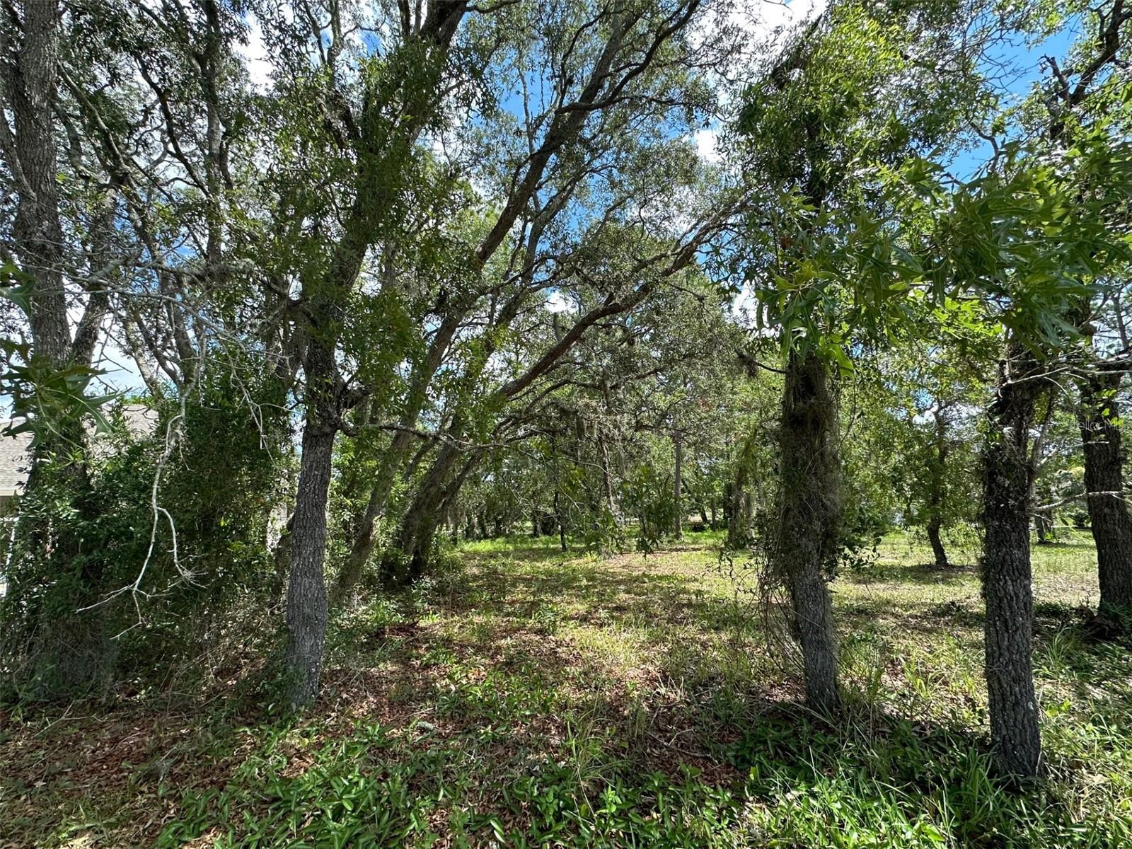 13 DEERWOOD DR, HOMOSASSA, FL — photo 7