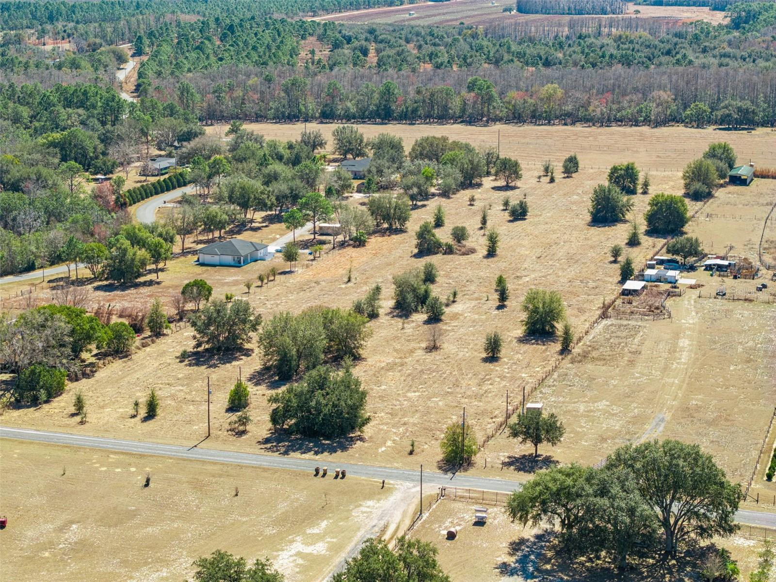 GREEN SWAMP RD, CLERMONT, FL — photo 3
