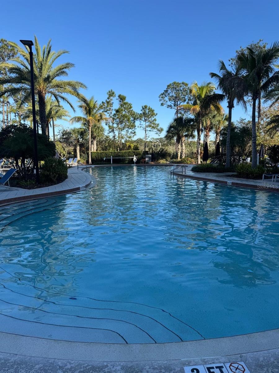 14501 GROVE RESORT AVE #3135, WINTER GARDEN, FL — photo 36