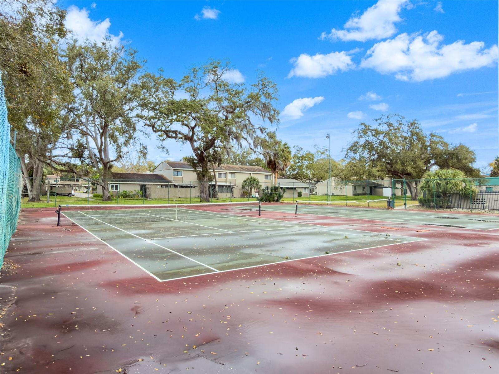 8408 TERRACE MEADOWS CT #None, TEMPLE TERRACE, FL — photo 26