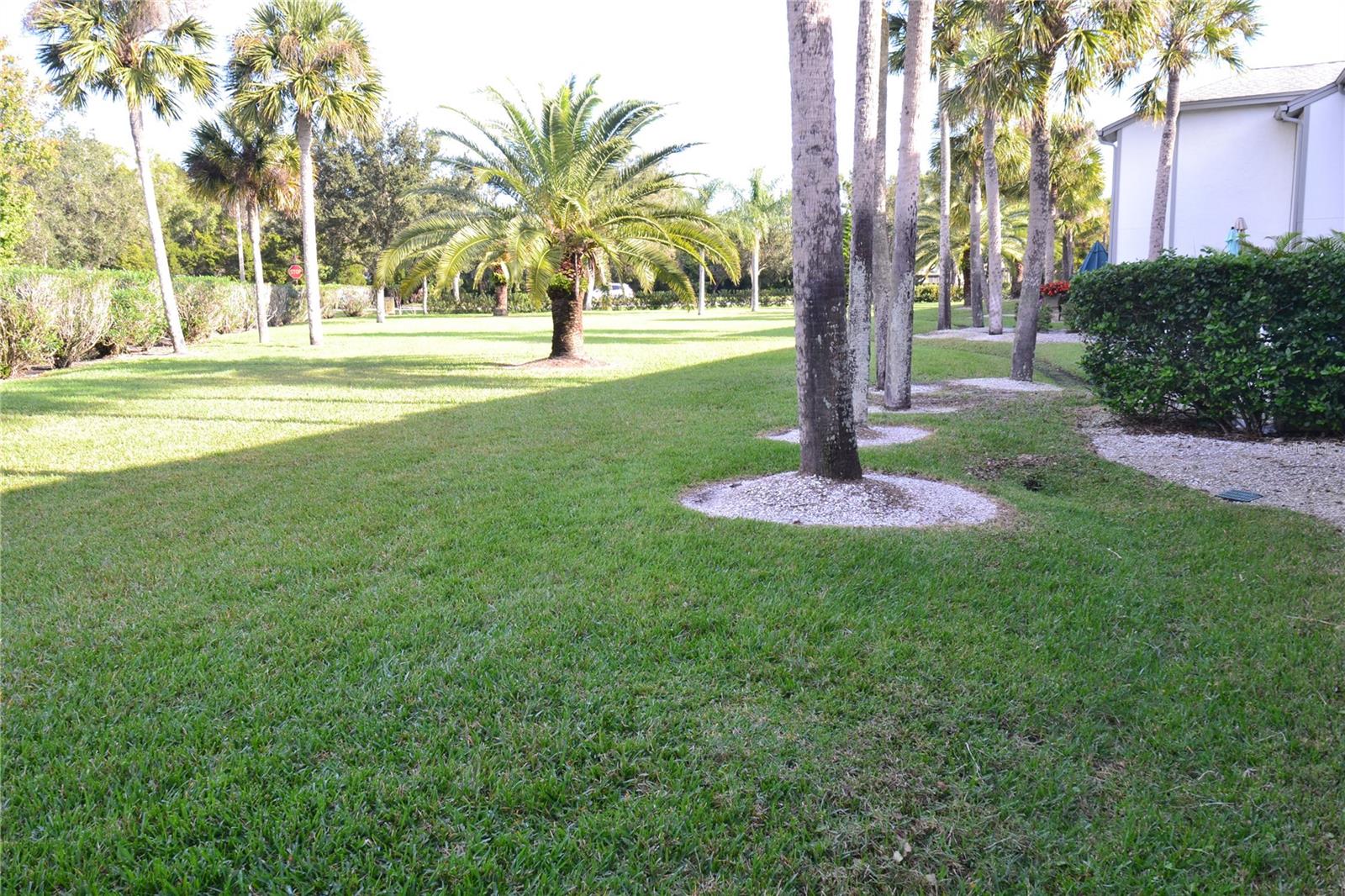 135 W CYPRESS CT, OLDSMAR, FL — photo 21
