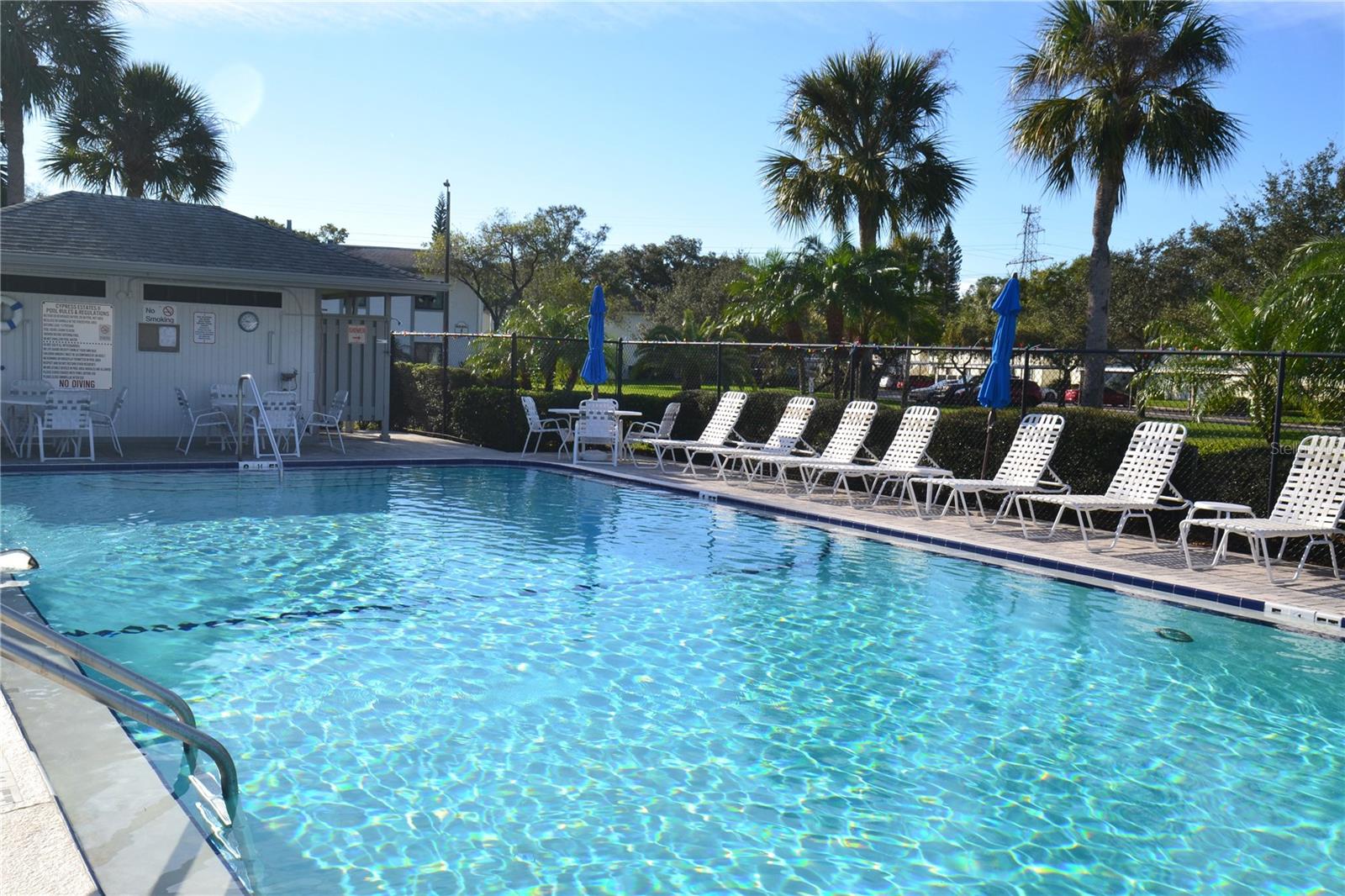 135 W CYPRESS CT, OLDSMAR, FL — photo 24