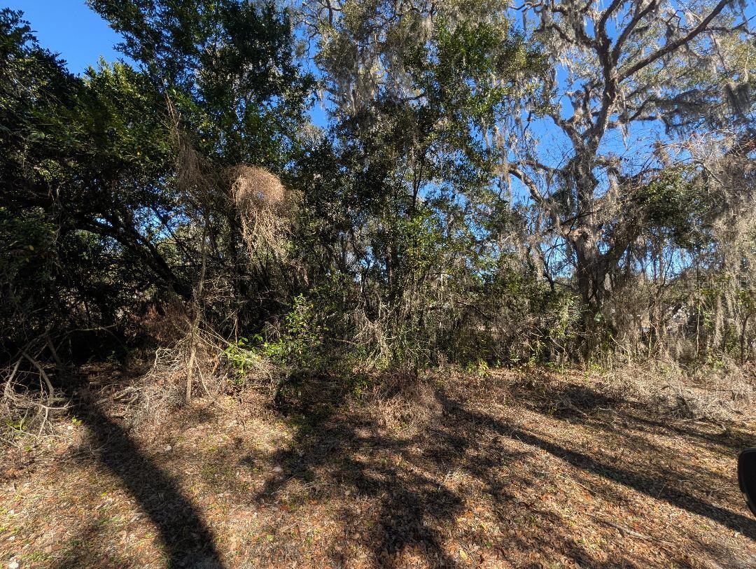 0 GLADIOLA CT, DADE CITY, FL — photo 5