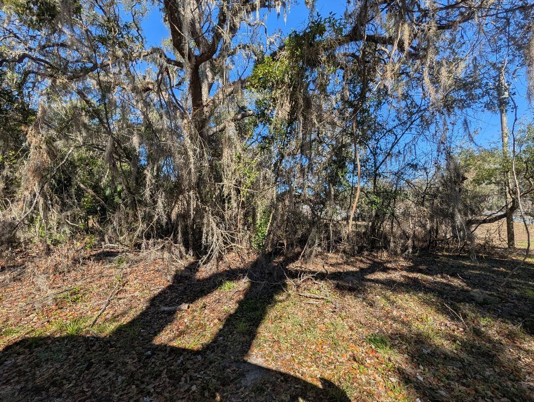 0 GLADIOLA CT, DADE CITY, FL — photo 9