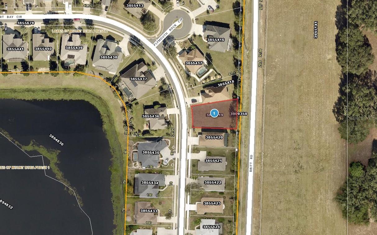 8062 BRIDGEPORT BAY CIR, MOUNT DORA, FL — photo 3
