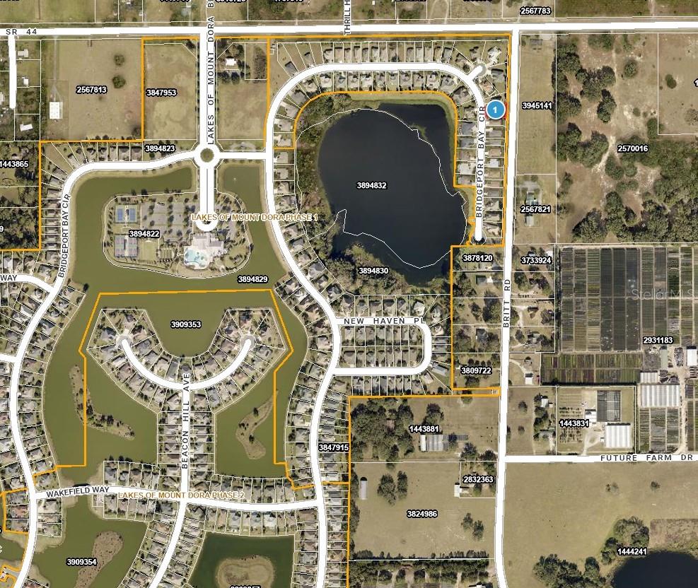 8062 BRIDGEPORT BAY CIR, MOUNT DORA, FL — photo 5