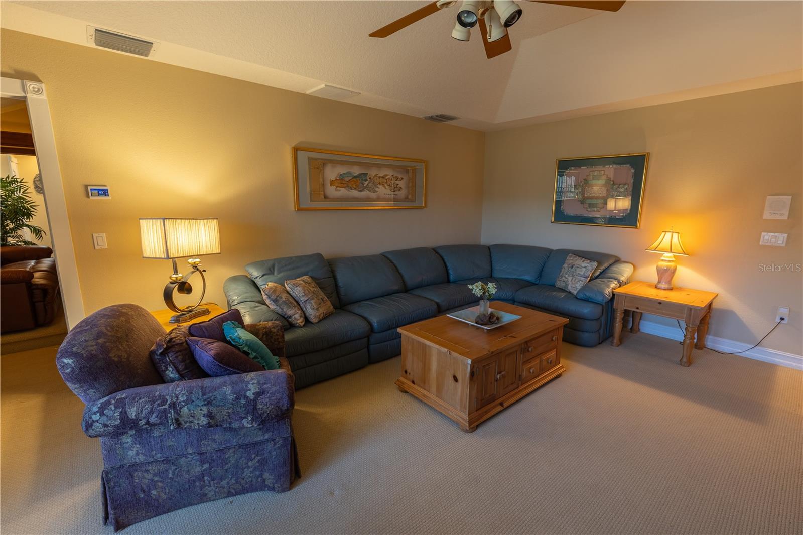 13717 CANTERFIELD DR, RIVERVIEW, FL — photo 28