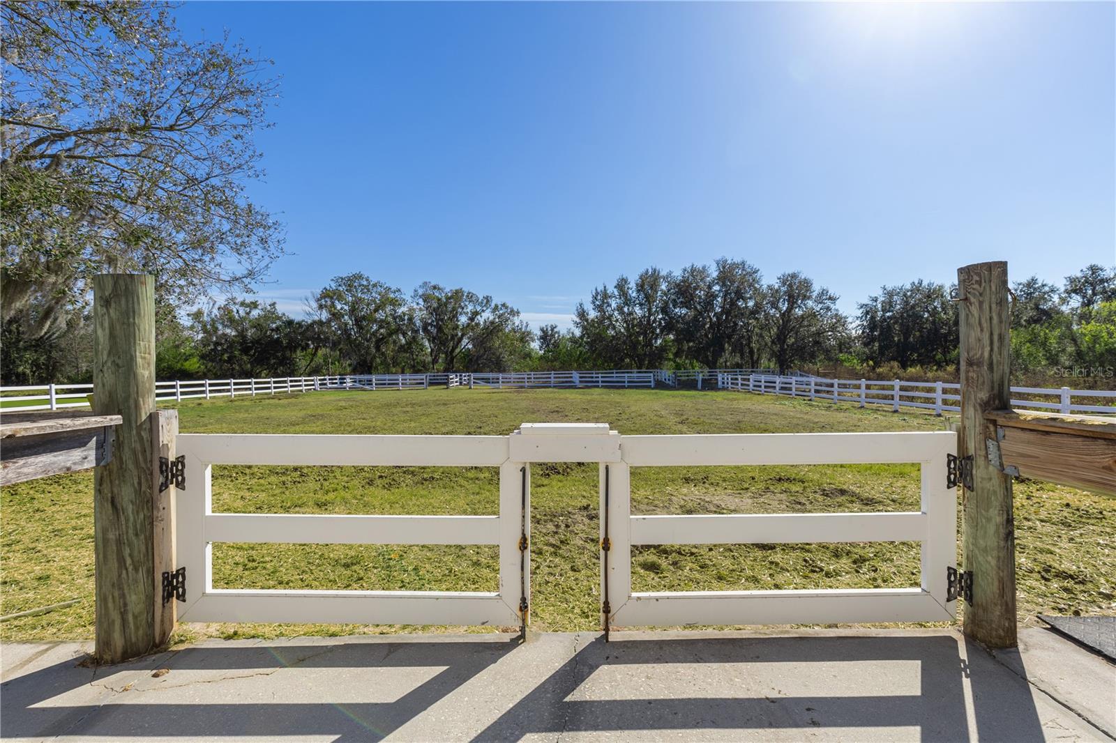 13717 CANTERFIELD DR, RIVERVIEW, FL — photo 49