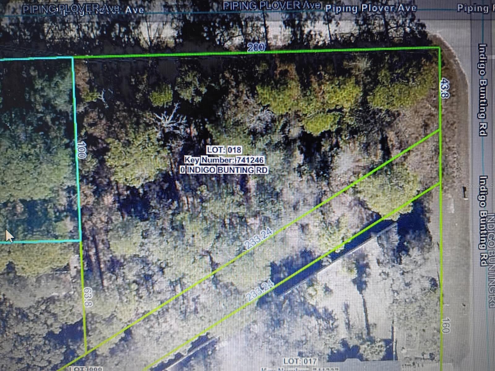 12449 INDIGO BUNTING, WEEKI WACHEE, FL