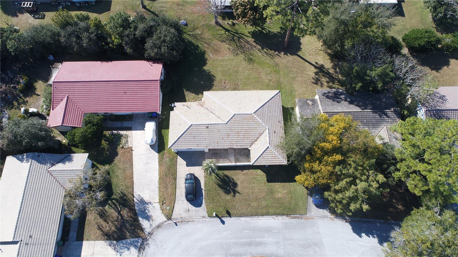 10640 DEERGRASS LN, ORLANDO, FL — photo 6