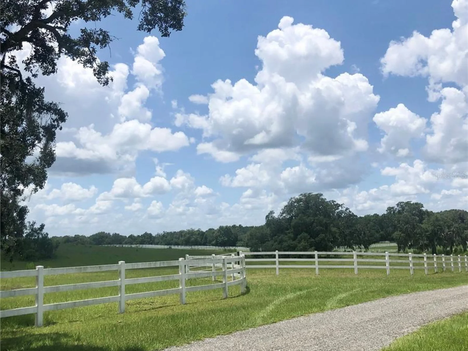 14 EAGLE RIDGE, BUSHNELL, FL — photo 13