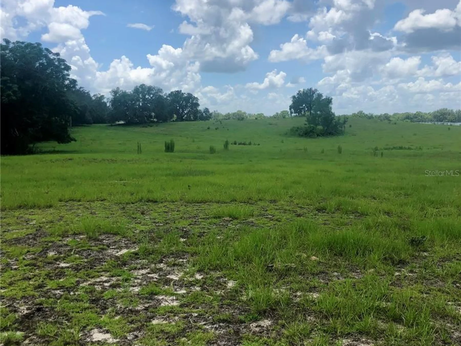 14 EAGLE RIDGE, BUSHNELL, FL — photo 16