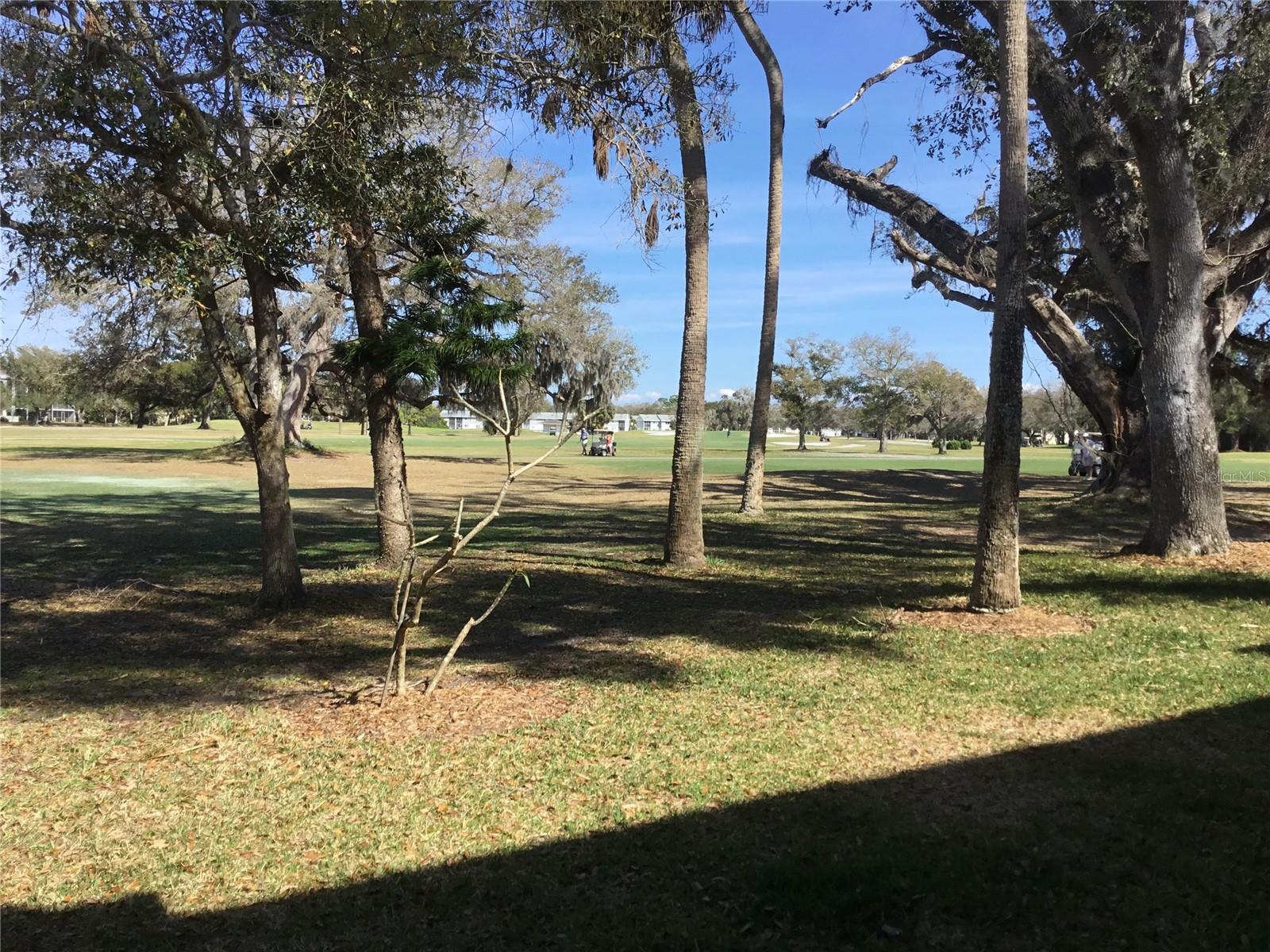 44 COUNTRY CLUB DR #44, LARGO, FL — photo 29