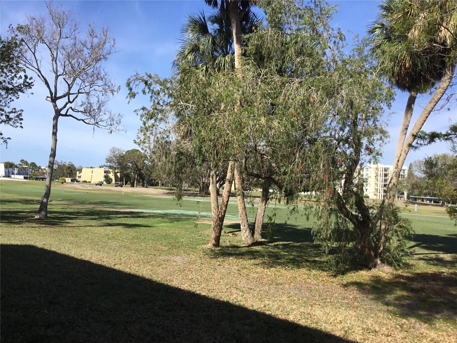 44 COUNTRY CLUB DR #44, LARGO, FL — photo 30