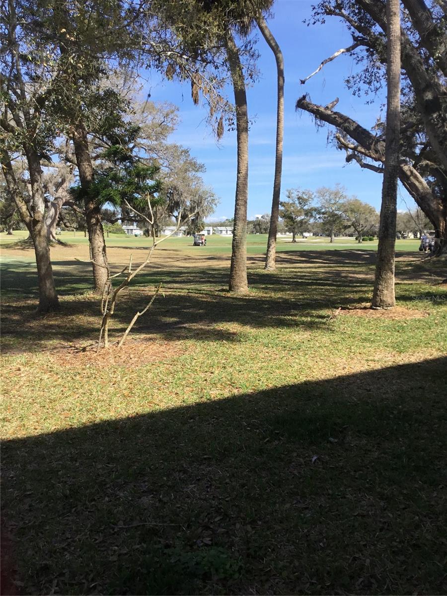 44 COUNTRY CLUB DR #44, LARGO, FL — photo 32