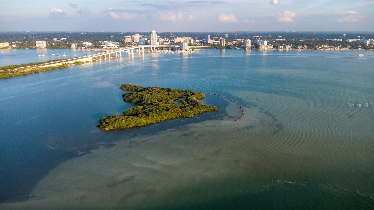 830 S GULFVIEW BLVD #502, CLEARWATER BEACH, FL — photo 5