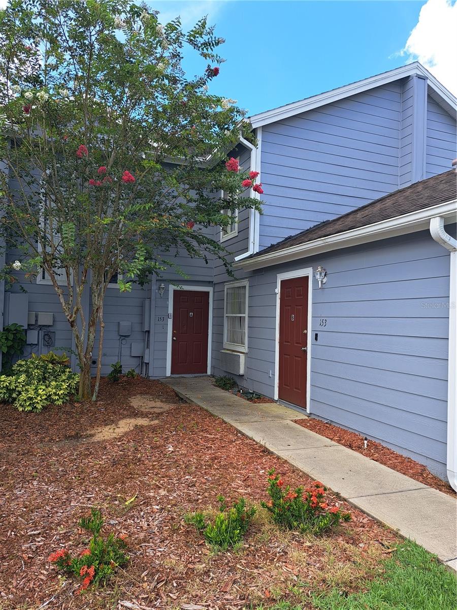 153 MANGO DR, DAVENPORT, FL — photo 2