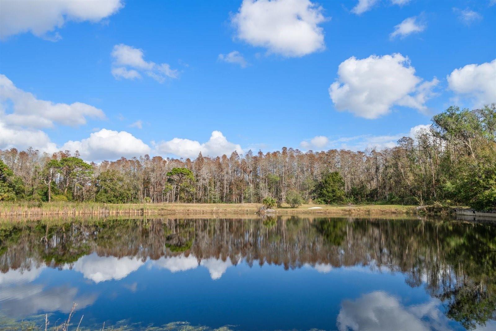 18409 TYLER RD, ODESSA, FL — photo 2
