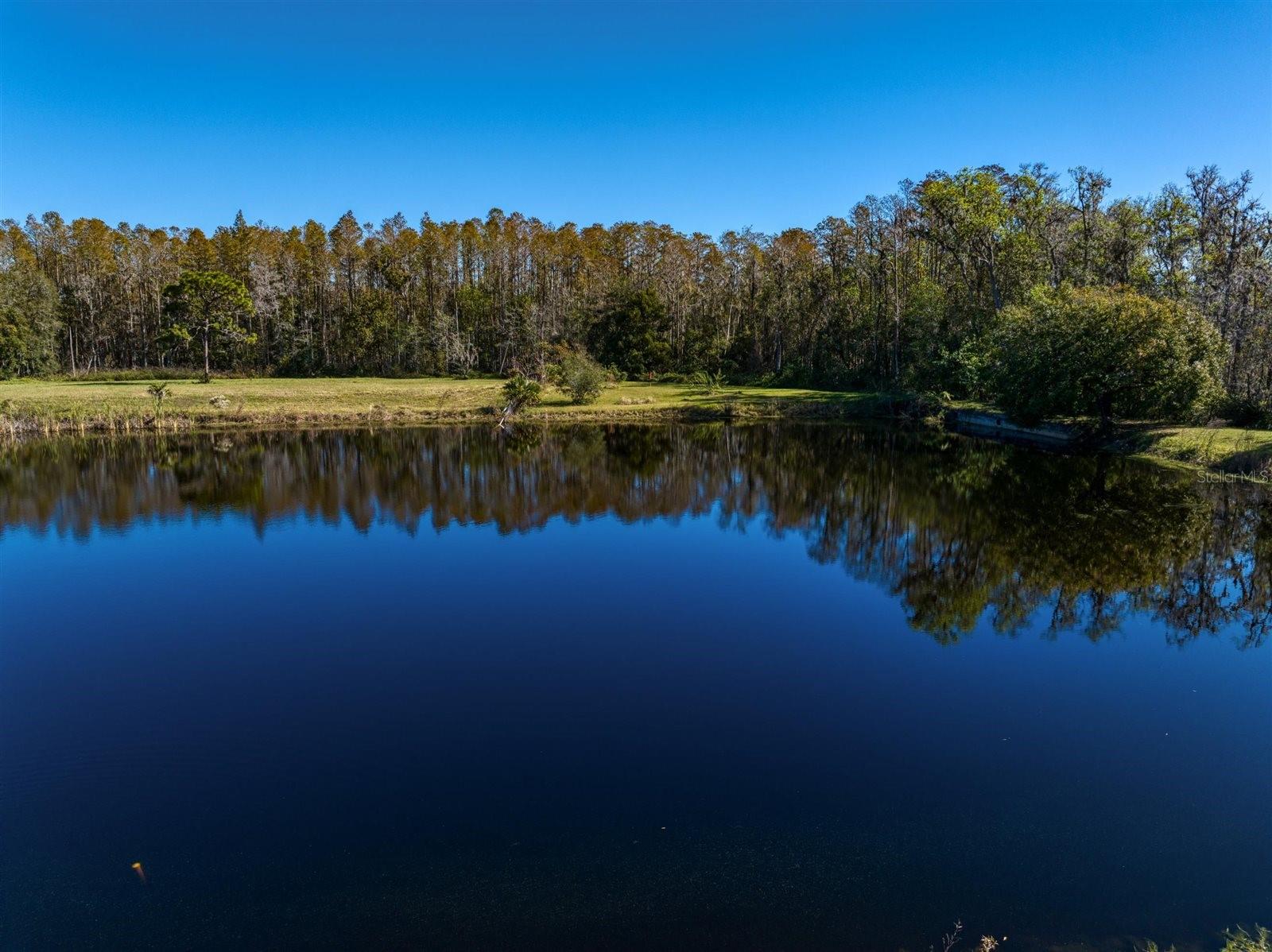 18409 TYLER RD, ODESSA, FL — photo 55