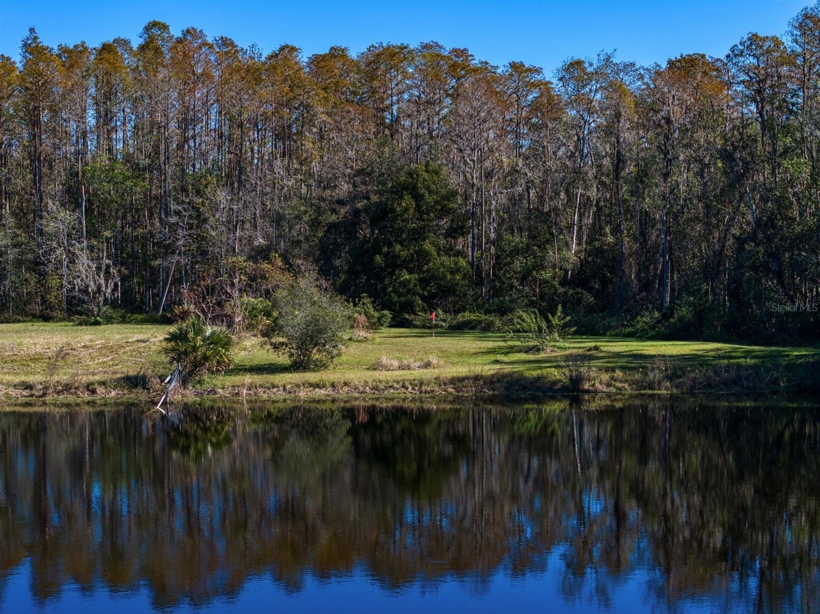 18409 TYLER RD, ODESSA, FL — photo 57