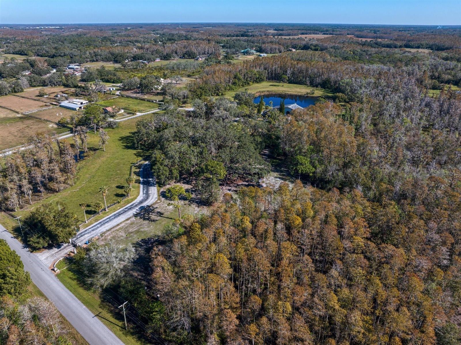 18409 TYLER RD, ODESSA, FL — photo 61