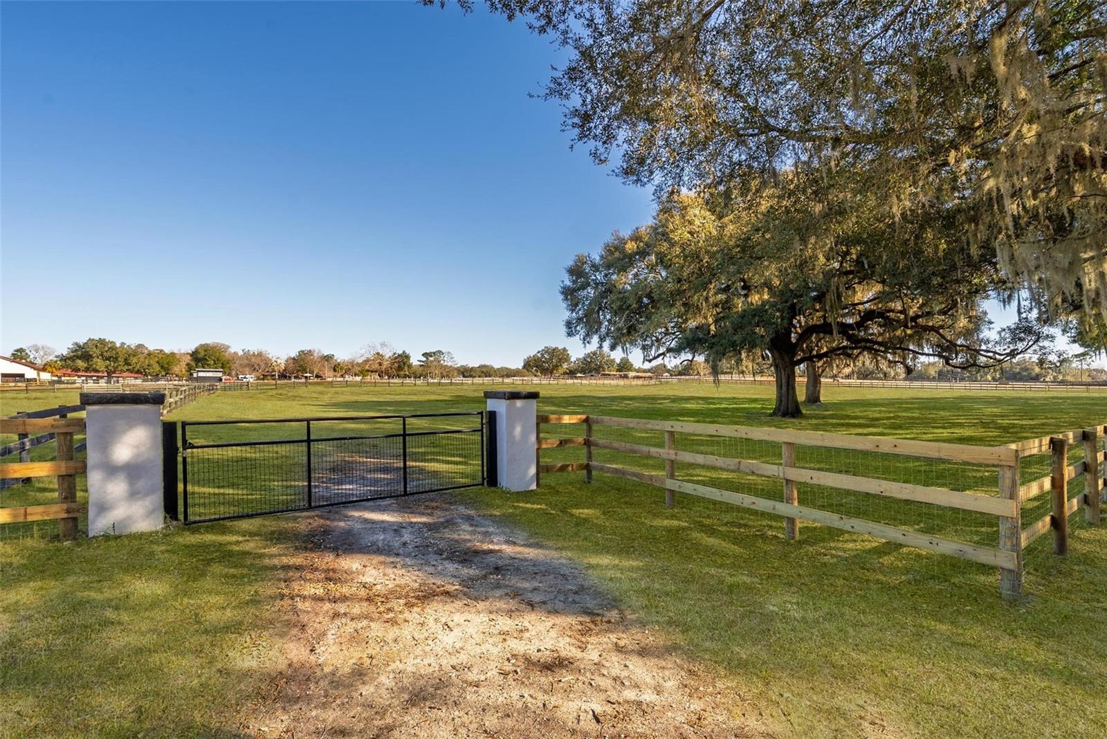 8245 NW 137TH AVE, MORRISTON, FL — photo 9
