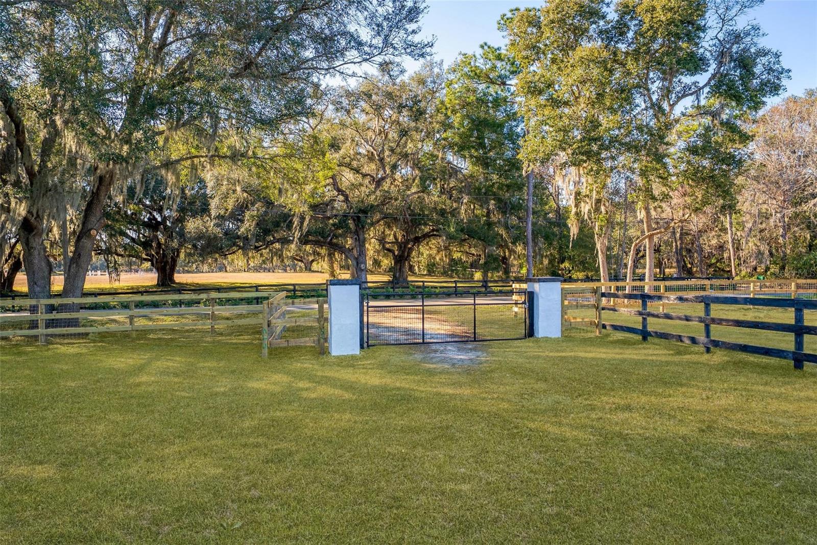 8245 NW 137TH AVE, MORRISTON, FL — photo 11