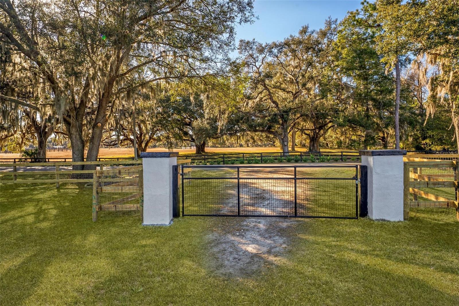 8245 NW 137TH AVE, MORRISTON, FL — photo 4