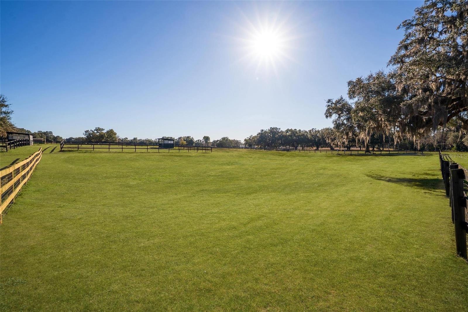 8245 NW 137TH AVE, MORRISTON, FL — photo 2