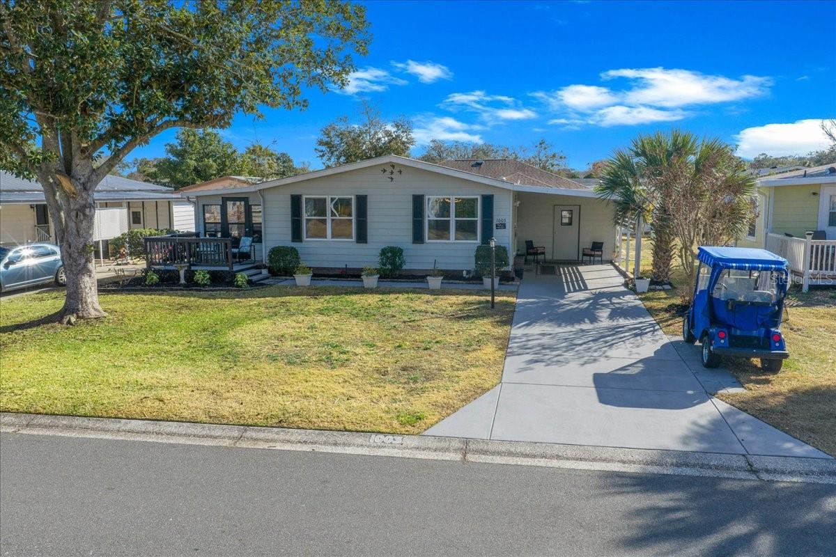 1003 MATTHEW AVE, LADY LAKE, FL