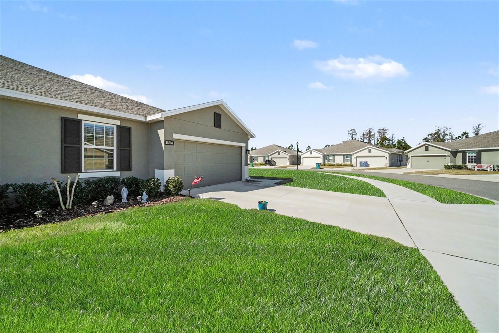 18088 TURNING LEAF CIR, LAND O LAKES, FL — photo 4