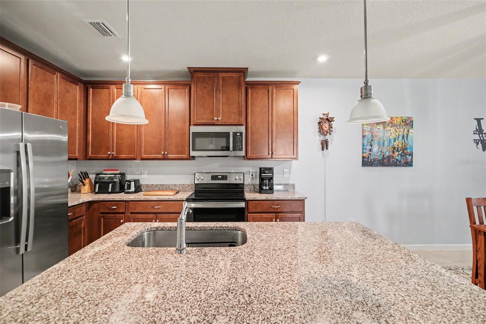 18088 TURNING LEAF CIR, LAND O LAKES, FL — photo 13