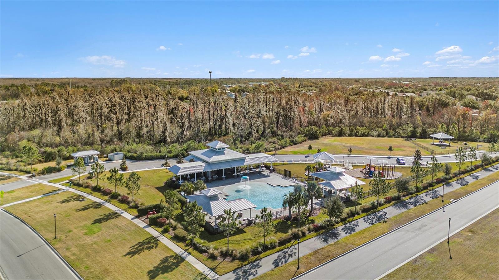 18088 TURNING LEAF CIR, LAND O LAKES, FL — photo 37