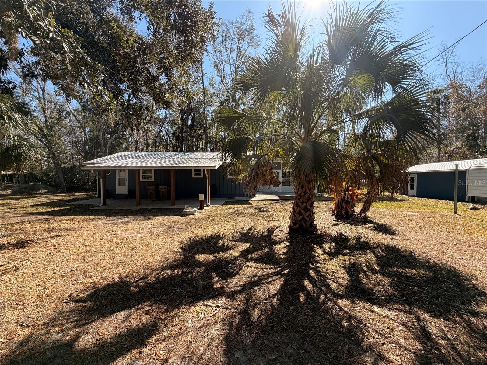 53706 RIVERTRACE RD, ASTOR, FL — photo 52