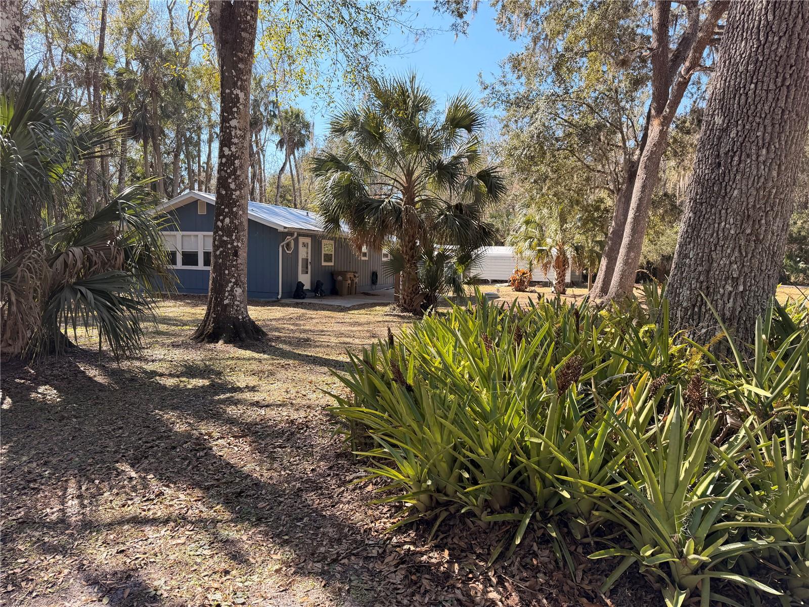 53706 RIVERTRACE RD, ASTOR, FL — photo 60