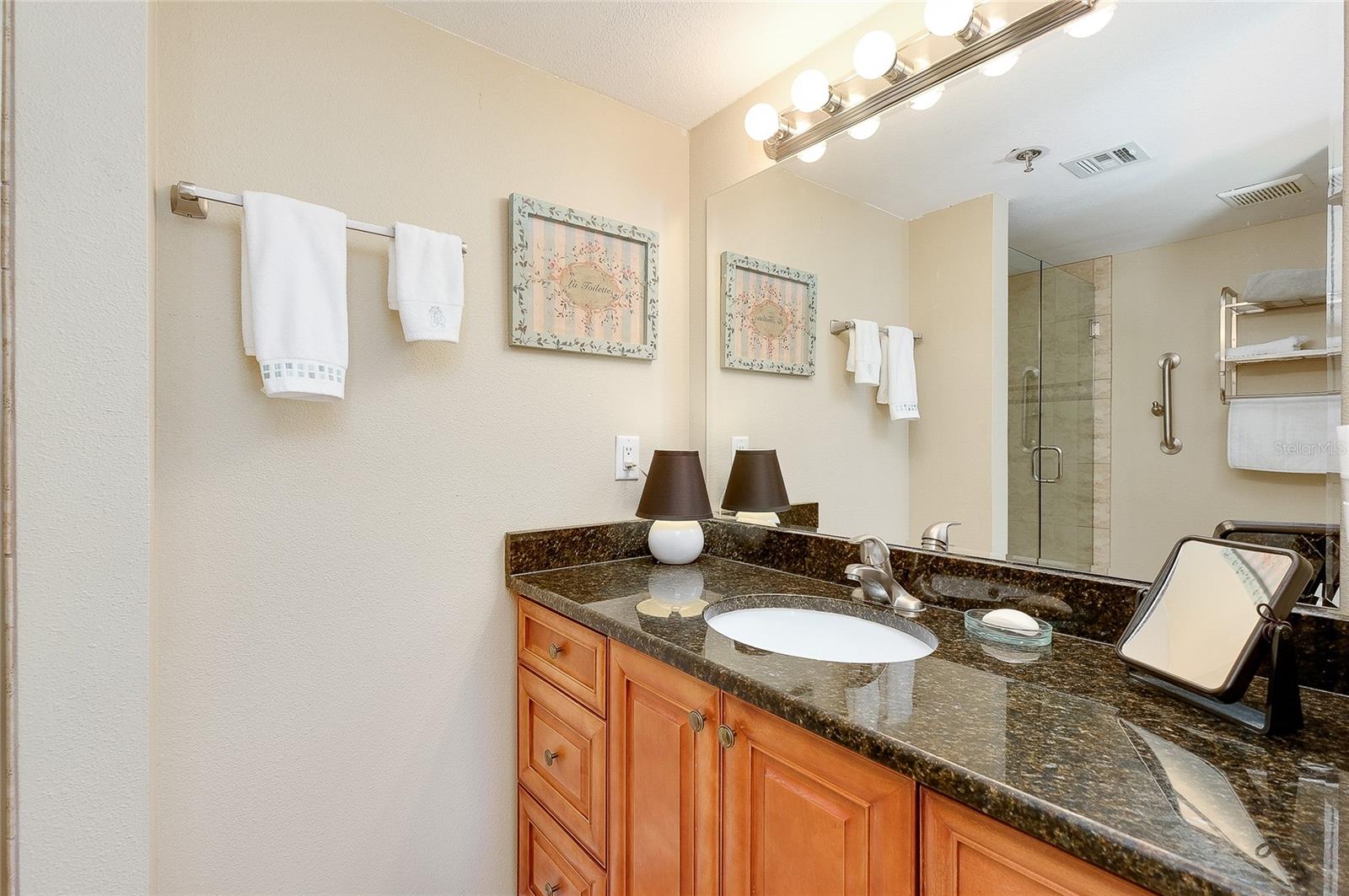 104 CAPRI ISLES BLVD #209, VENICE, FL — photo 38