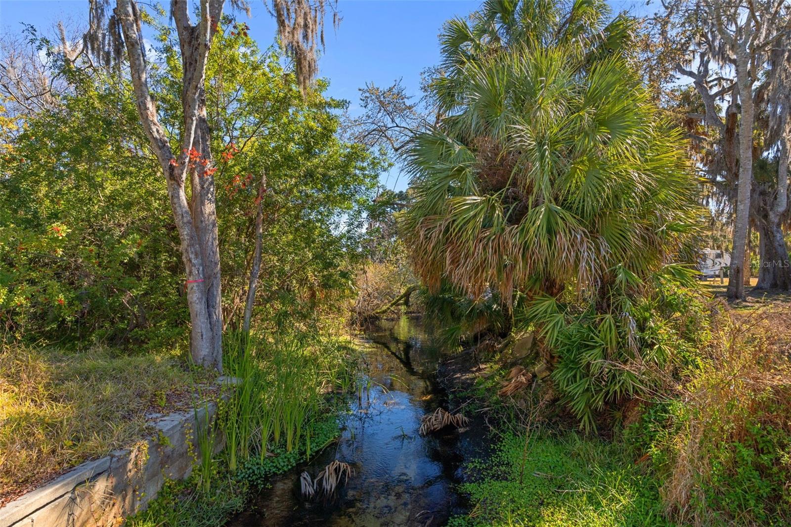 8301 CONGRESS ST, PORT RICHEY, FL — photo 128