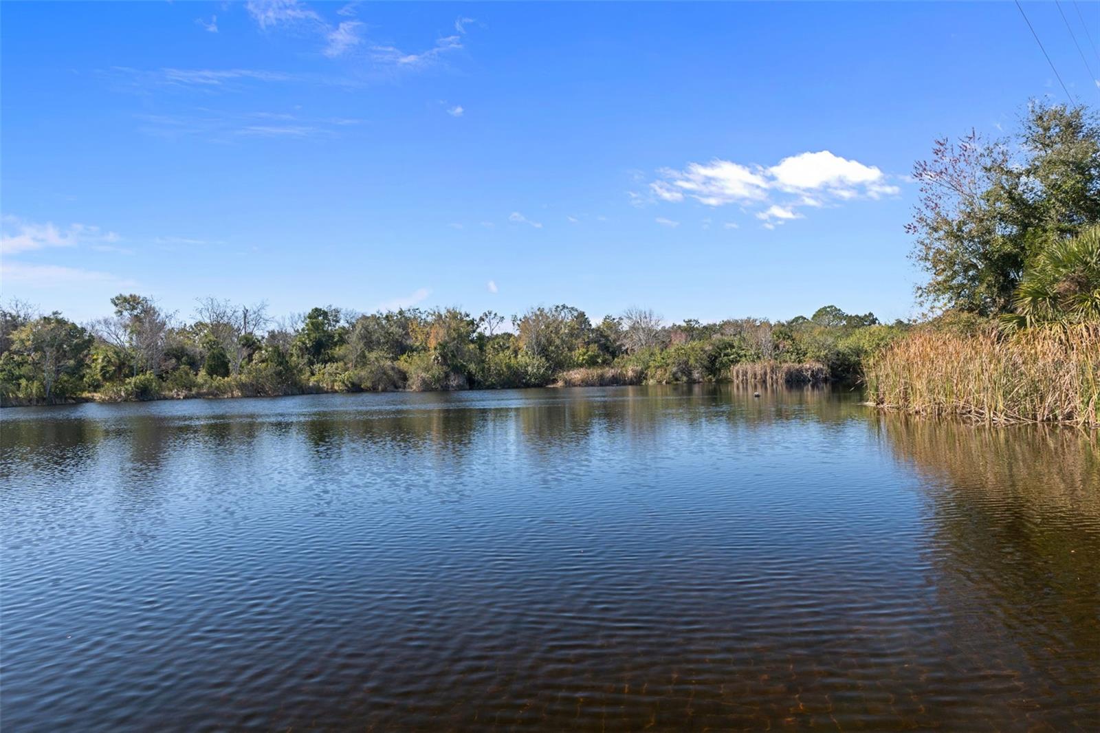 8301 CONGRESS ST, PORT RICHEY, FL — photo 157