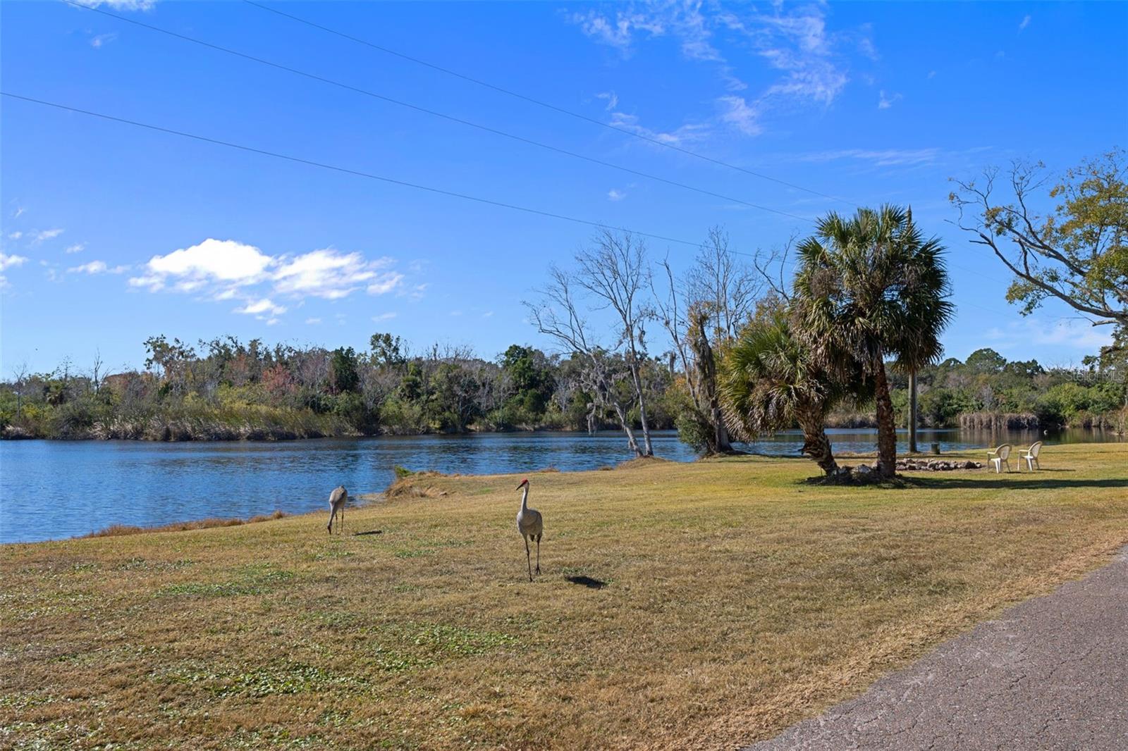 8301 CONGRESS ST, PORT RICHEY, FL — photo 167